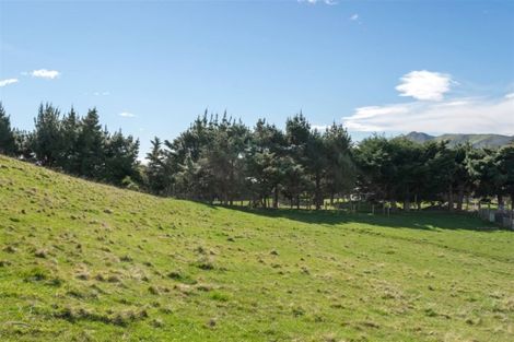 Photo of property in 7354 State Highway 1, Ward, Seddon, 7285