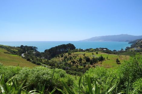 Photo of property in 1594 Colville Road, Amodeo Bay, Coromandel, 3584