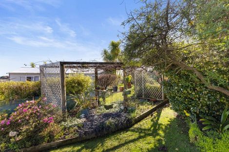 Photo of property in 7 Davies Street, Paeroa, 3600