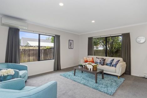 Photo of property in 19b Nineteenth Avenue, Tauranga South, Tauranga, 3112