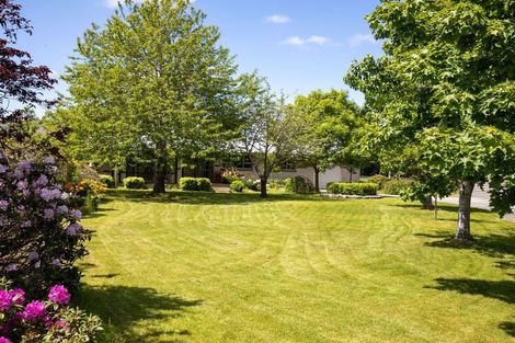 Photo of property in 7 Ormaglade Place, Millers Flat, Roxburgh, 9572