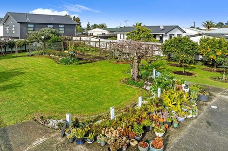 Photo of property in 35 Sherson Street, Gate Pa, Tauranga, 3112