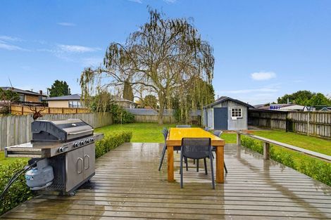 Photo of property in 270 Raeburne Street, Te Awamutu, 3800