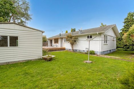Photo of property in 49a Cornwall Street, Masterton, 5810