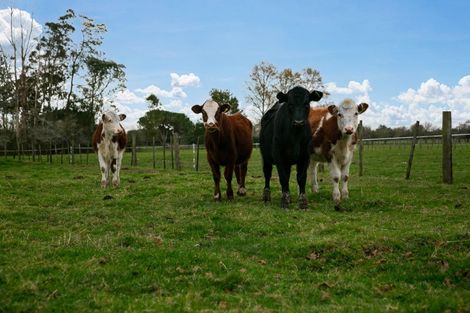 Photo of property in 1507 Tauwhare Road, Eureka, Hamilton, 3287