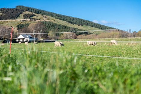 Photo of property in 33 Franks Place, Outram, 9019