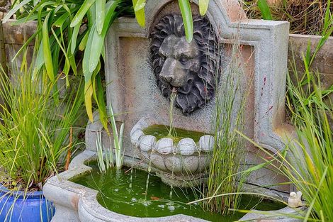 Photo of property in 199a Youngson Road, Whakamarama, Tauranga, 3179