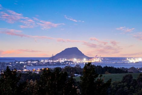 Photo of property in 393 Upper Ohauiti Road, Ohauiti, Tauranga, 3173