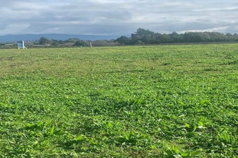 Photo of property in 12 Kahawai Place, Omokoroa, 3114