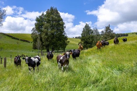 Photo of property in 467a Te Mata Road, Raglan, 3295