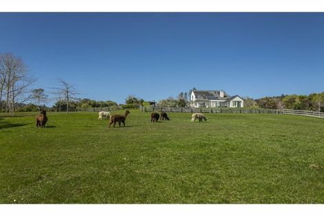 Photo of property in 153e Green Road, Dairy Flat, Albany, 0792