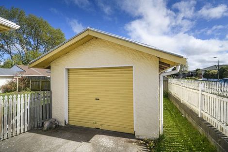 Photo of property in 55 Mcgregor Street, Milson, Palmerston North, 4414