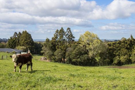 Photo of property in 291 Rea Road, Tahawai, 3178