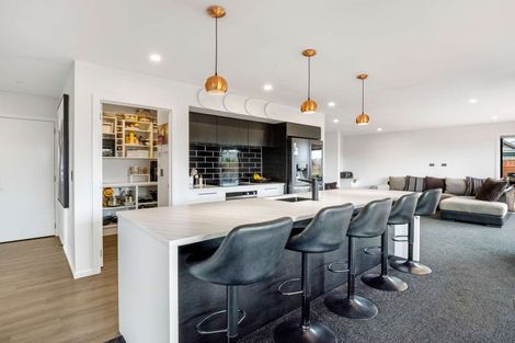 Photo of property in 18 Amur Crescent, Rolleston, 7615