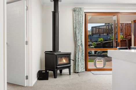 Photo of property in 3 Pinfold Place, Mosgiel, 9024