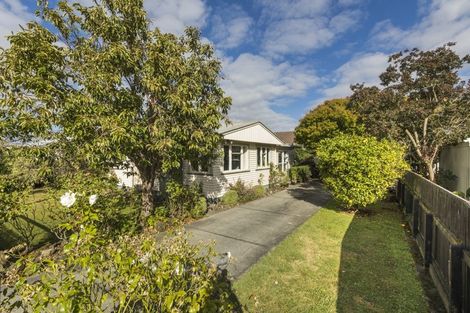 Photo of property in 115 Stanford Street North, Ashhurst, 4810