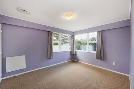 Photo of property in 6 Hodgetts Place, Ashhurst, 4810