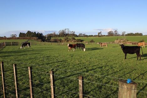 Photo of property in 20 Tariki Road South, Tariki, Stratford, 4390