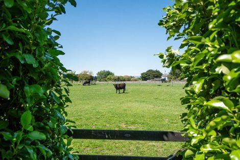 Photo of property in 546 Belvedere Road, Carrington, Carterton, 5791