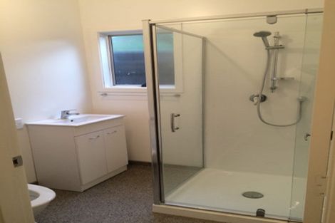 Photo of property in 145 Aro Street, Aro Valley, Wellington, 6021