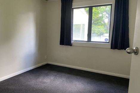 Photo of property in 391 Peachgrove Road, Fairfield, Hamilton, 3214