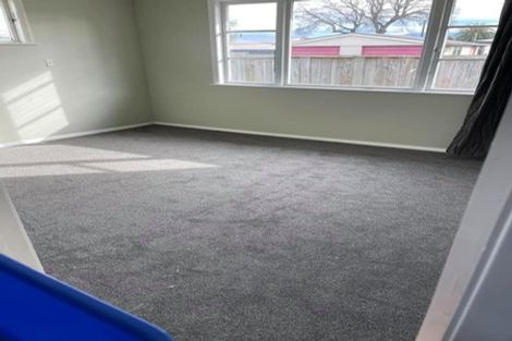 Photo of property in 102 Cockburn Street, Kuripuni, Masterton, 5810