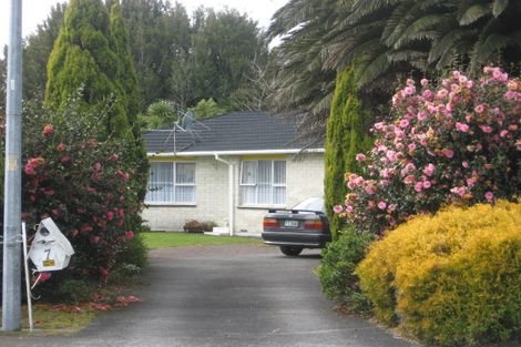 Photo of property in 7 Adrian Street, Stratford, 4332