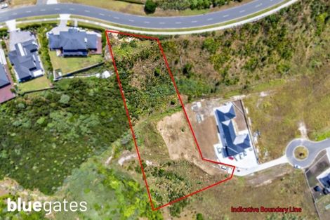 Photo of property in 19 Kanuka Road, Hobsonville, Auckland, 0616