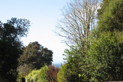 Photo of property in 81 Hauraki Terrace, Pukawa Bay, Turangi, 3381