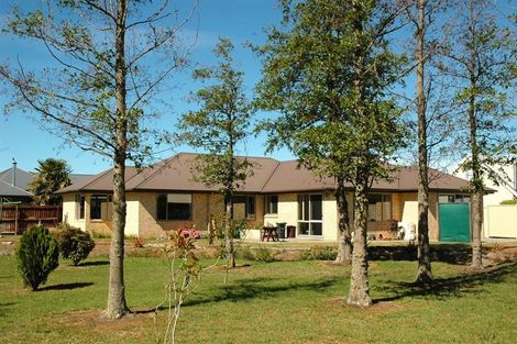 Photo of property in 24 Morris Road, Amberley, 7410