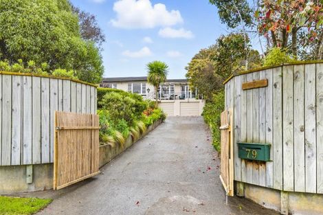 Photo of property in 79 Kawiu Road, Levin, 5510