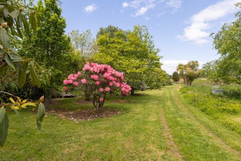 Photo of property in 933 Makomako Road, Pahiatua, 4983