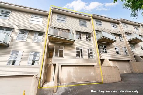 Photo of property in 2/17 Auburn Street, Grafton, Auckland, 1023