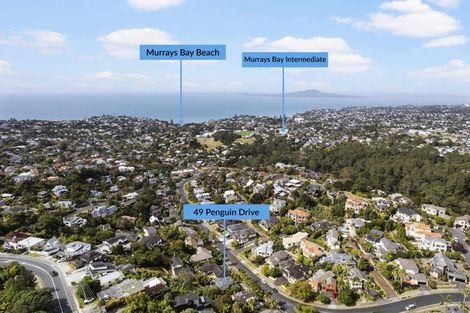 Photo of property in 49 Penguin Drive, Murrays Bay, Auckland, 0630