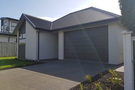 Photo of property in 11 Tommy Street, Pegasus, 7612