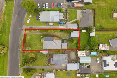 Photo of property in 113 Buckland Street, Putaruru, 3411