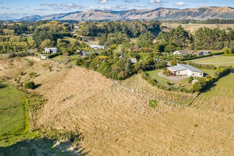 Photo of property in 46 Oakland Lane, Shannon, Palmerston North, 4474