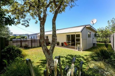 Photo of property in 16a Puni Street, Fitzroy, New Plymouth, 4312
