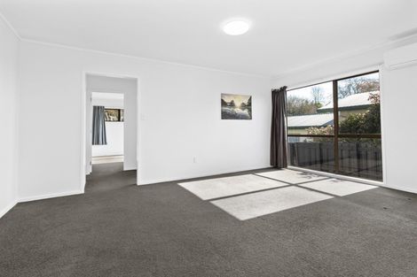 Photo of property in 45 Exeter Street, Glenview, Hamilton, 3206