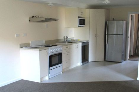 Photo of property in 20 Lachlan Avenue, North Dunedin, Dunedin, 9016