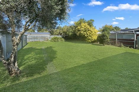 Photo of property in 96 Pahiatua Street, Hokowhitu, Palmerston North, 4410