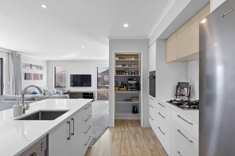 Photo of property in 3 Snapdragon Lane, Wigram, Christchurch, 8025