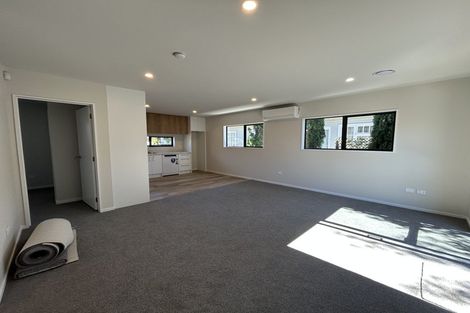 Photo of property in 45c Ryan Street, Phillipstown, Christchurch, 8011