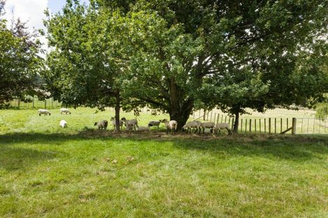 Photo of property in 512 Milson Line, Newbury, Palmerston North, 4478