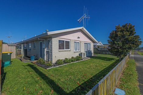 Photo of property in 9 Saxton Street, Levin, 5510