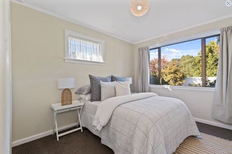 Photo of property in 17 Mcsaveneys Road, Marshland, Christchurch, 8051