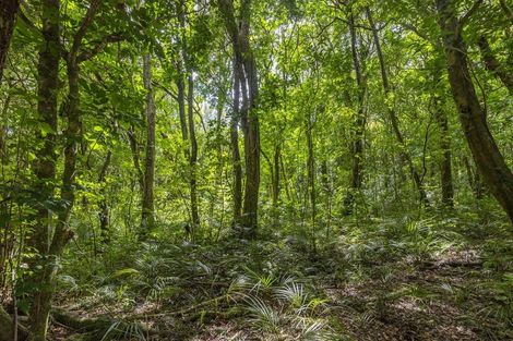 Photo of property in 103 Huia Street, Waikanae, 5391