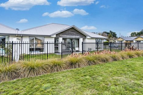 Photo of property in 31 Clausen Avenue, Leeston, 7632