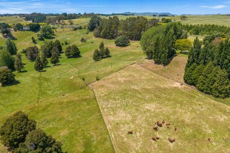 Photo of property in 227 Tipapakuku Road, Dannevirke, 4930