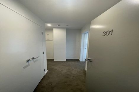 Photo of property in Vsp South, 301/168 Victoria Street, Te Aro, Wellington, 6011